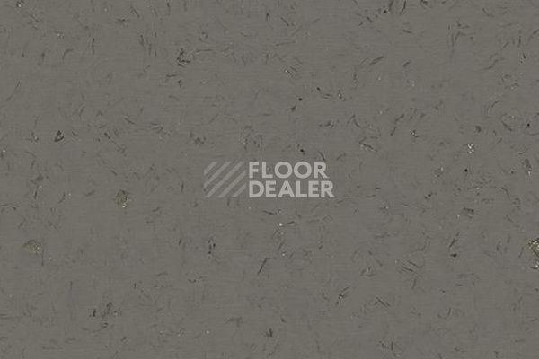 Виниловая плитка ПВХ FORBO Allura Colour/Colour Plus C68015-651015 dark lead фото 1 | FLOORDEALER